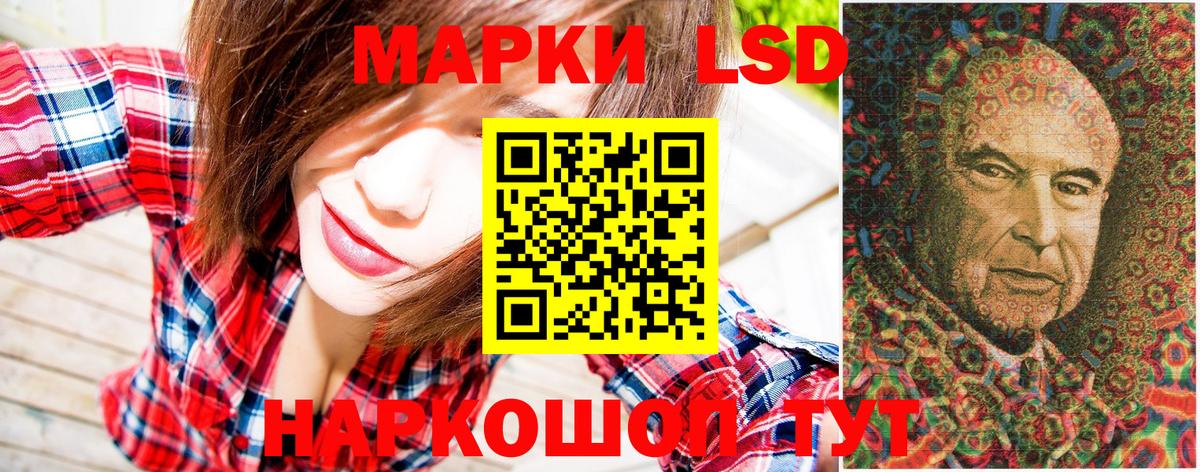 дарнет шоп  Наркотические марки 1,8мг  Вход с VPN  Кашира  Наркотические марки 1,8мг 